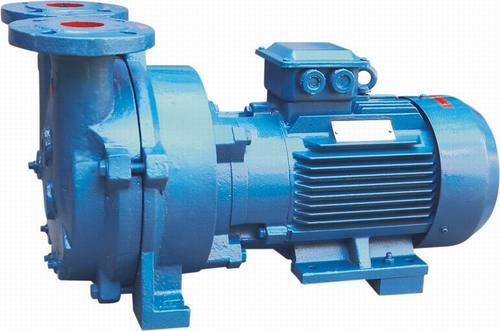 Water Ring Vacuum Pump